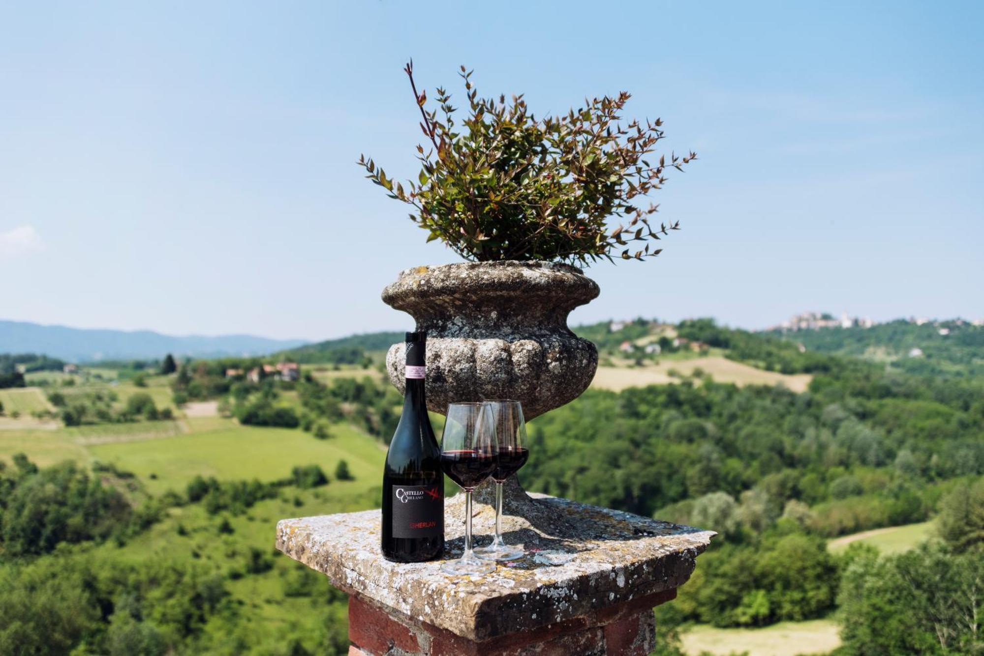 Castello Di Grillano Guest House Овада Экстерьер фото